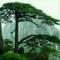 5ae8ed627b37889a974cb8174eda8f54535c5674