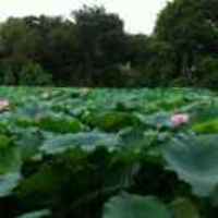 A8c74b5b6a8337c98b0a1ad058619e7e1f694850