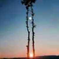 D7410fd2aaae5711891c46fca3cc9476ea23d096