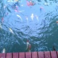 52cf20aae2fbda035abc9adca9ffa7d0b4f7fb03