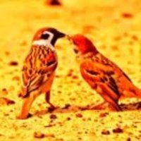 071540af1a405b26148c900ecbe667dbcfc33283