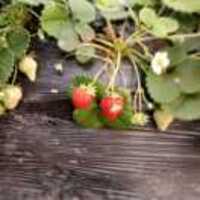 33047417b42d930e3db2d621d58a25d221b66d55