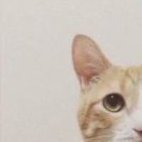 C4062d7b92a94508897ef87f8d6001ea0866e22e