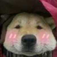 7e85df1a43b0a0ff1a9bd2b78db64543be3d3be1