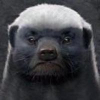 9f5140213e27aafb56aab7876283e51f3761692c