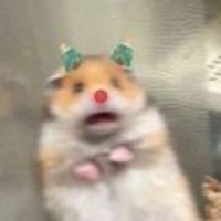 495052a19584ed3d31a9ec92caa0df369652475c