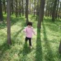 27411853c5d37807997ac3dfb6d7606a263d4761