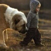 26e357119989c895339153886fc6a9f220896428