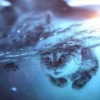 1c8a8a5ca71e03b3a5e7a0e7d3f50996df36ddb1