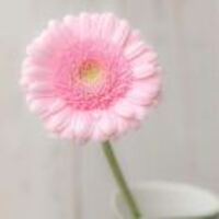 2dd37084a8336ee6f2249210427327d375919ac4