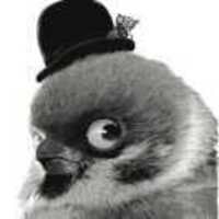 44c54fac2354192fc86565198b2e7839a0d31cea