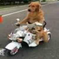 0a6811c80ae3e76d6bffca60863960e220502e22