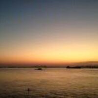 B51a39c103b76b75c578c0ed6f28a791b292957a