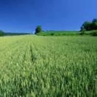 5c2a6a1078120e280c6a216d46303995368e01d9