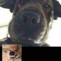 246bf0ebd7f029765be0ee8b0cb83cef21ca8750