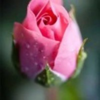 A316ea4e018e521802c5b34d210c5b009addd6de