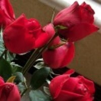 D4e5089903cd06f805dc076157a7953064b1a303