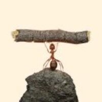 Ecf569da5ead564f477dcb9885a5a41c8e52e573