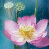 9ab6b14a7532a30fbd077cda0f18bdbf7cf60f9c