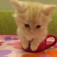 32d5172af88d879a18964b34e19b7b26e10d21ba