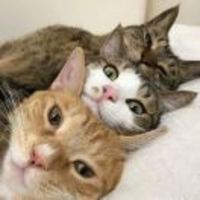 14324d7acd408c6a0235632a9d61e48772073b98