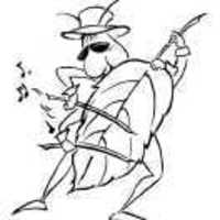 F5ddc44e8ac0e1e7ab1ec7f0aa3c9a7723611765