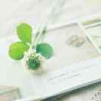 Cef4caa932a72a507882105e0cff341f8330d595