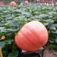 7946fb14be29b9e364e72ae853c4136f834cec89