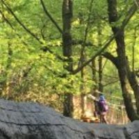 552f49c05f5e559b952b96415e69f6bca1690bba