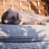 Eba219d022e8336e44fbac4a29695896e7792307