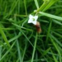 19f1e6957c8a1d3b99de1240756f0813bc79638c