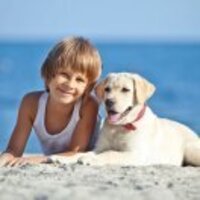 847f605fa0f53b4d28a18d415c213342fd76767e