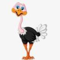 D4ccebf738043d4211cf73b6c85efb25609a8cc0