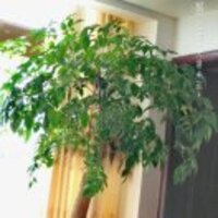 84ad59f8d326ef8bae1f1b97bb5034012ba872e8