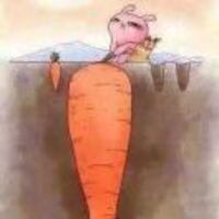 5eb19cf3dca762591506090508c9db67fbc5f5da