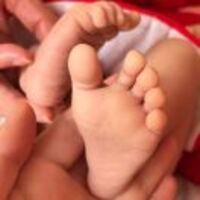 7ce17185219182ef759e150c651b46dbf3bb1482