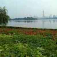 E0d260b84e618fda80b5a4109c04d40c1c39b156