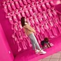 13a1092a7a3c5ccfdf188930c9f464b201bdbd8b