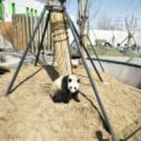 37fd5e2a25e56f3371e4efb4e1b23fbc7e98f186