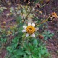 238da61d00ca6f7e24c475a2be8eeec59c811b2f