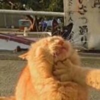 7fb63b5f44901ef37c8d5ad5c6216d8cb035e8cc