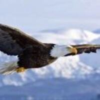 62c522a66af0356e17e9550d14bd83fa55f3d48d