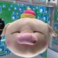 E849d70869823668c237dd90b6e790f1bb8bb850