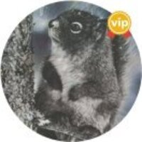 Badc18c58bda798a8ba6509b3c7253ebda6b09fd