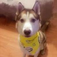 186825c4cab0cc4e163c61df8b08745b9455bd66