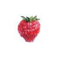 A3add684e8bd363160112f00097b7738237c9791