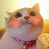 Acdb0c19fa1532e683a9be748b8e85a3d0c1df87