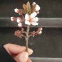 5b6a5380964dbf80dd56d05a908c510ba26e65b5