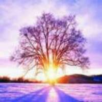 0757fc3cfdb3c32500f06179090a7d8470b2d311