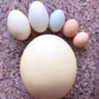 7b827bf19f1e8e301e429a44188cb0fa84e3004f